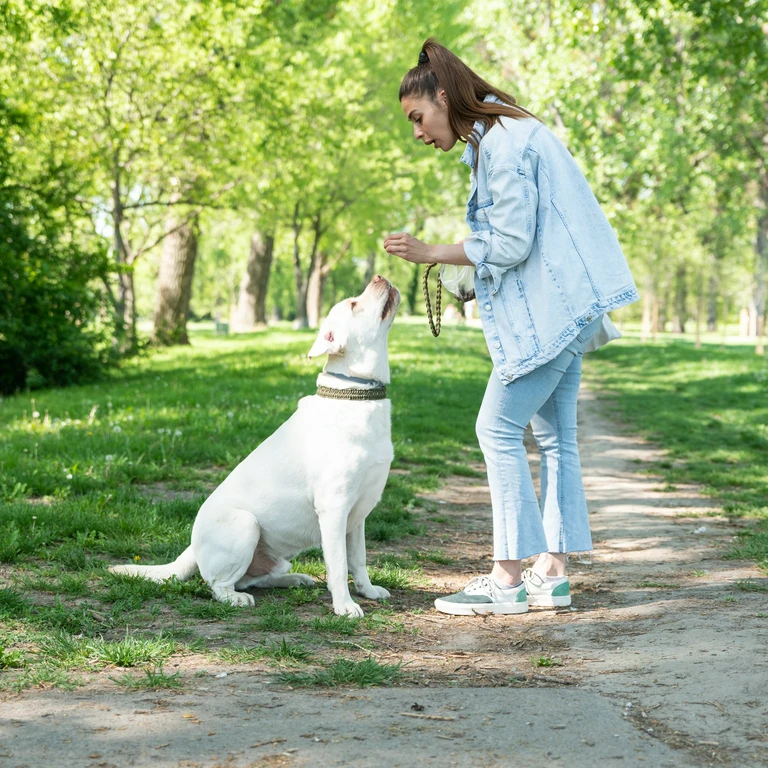 Kobieta z&nbsp;psem w&nbsp;parku