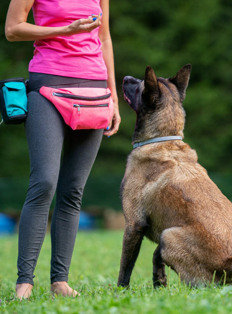 Kobieta wydająca psu komendy